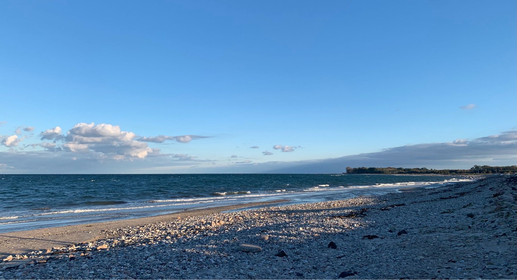 Steiniger Strand an der Ostsee und das blaue Meer unter blauem Himmel. Im Hintergrund rechts eine Baumgruppe.