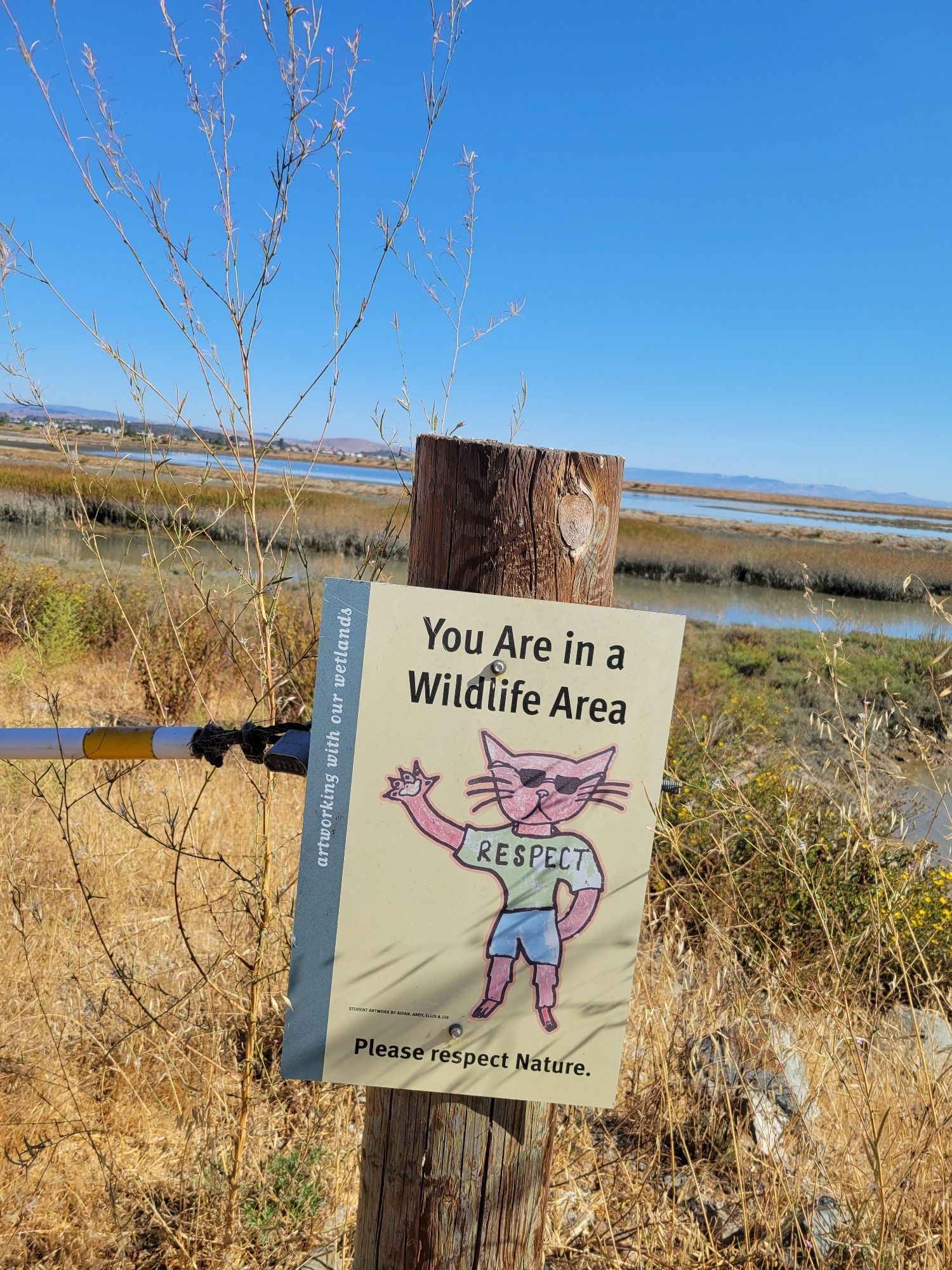 wooden post in a wetland with a child-s drawing of a muscular cat holding up a hand with a shirt that says "RESPECT"