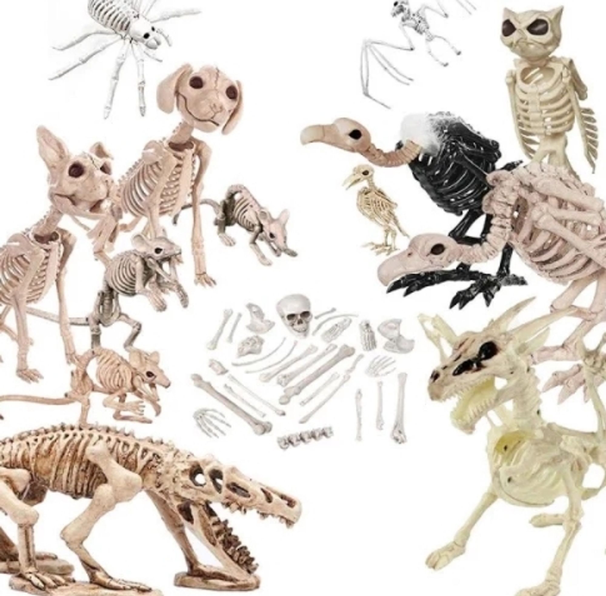 A variety of plastic skeleton decorations of birds, various animals, and a spider (which famously do not have skeletons). None are representative of what skeletons actually look like, having bone ears and bone feathers and the like.