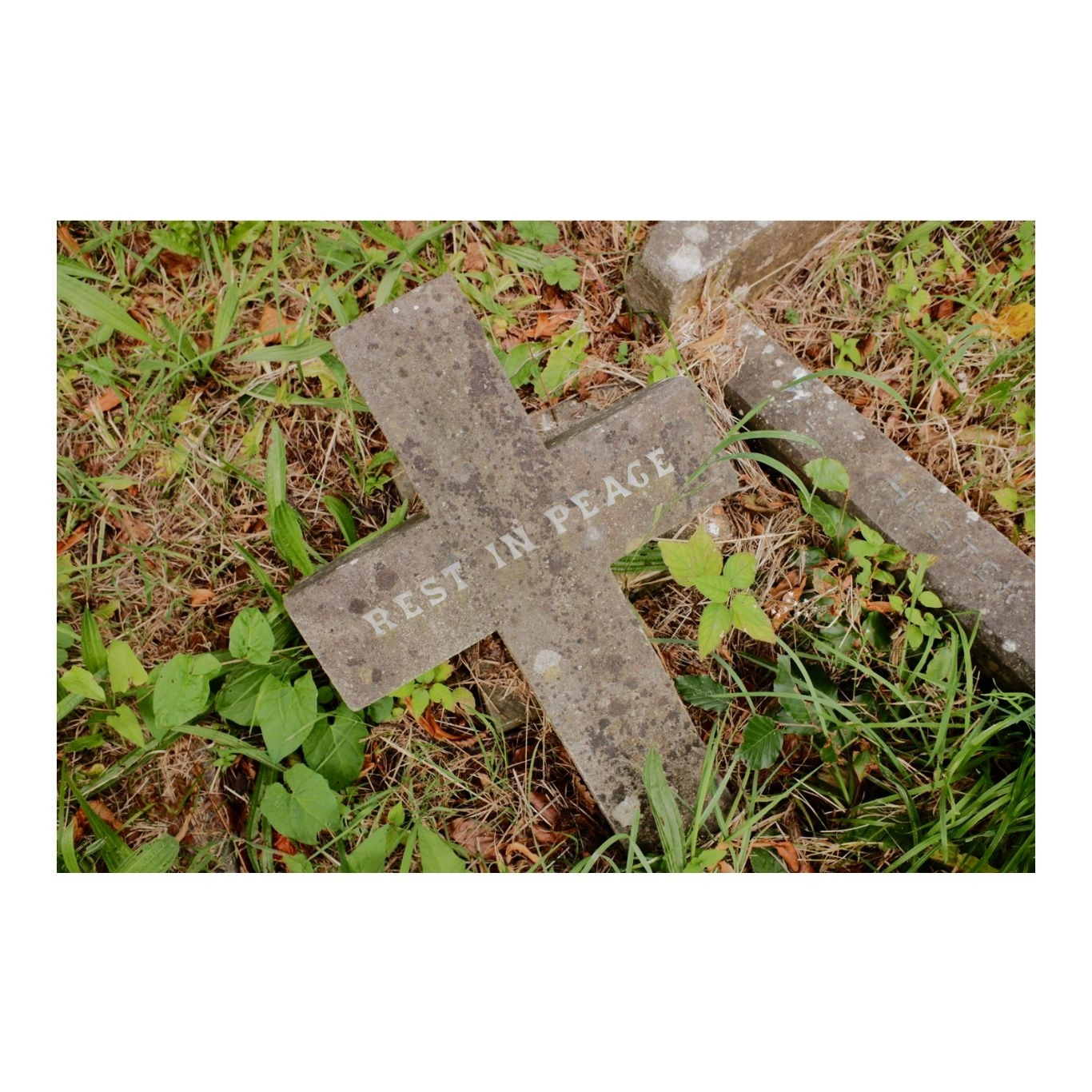 A small stone cross collapsed on the ground. The text reads rest in peace.