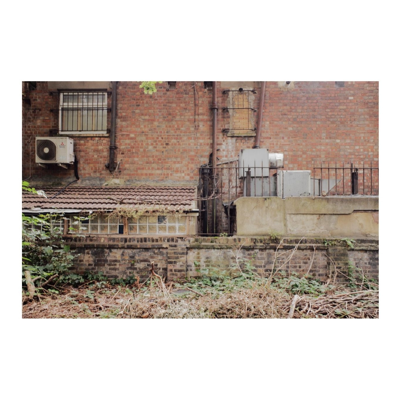 The back of a row of shops facing onto a Victorian cemetery. There are air conditioning units, outlets and pipes, and bricked up windows. In the foreground are brambles and ivy.