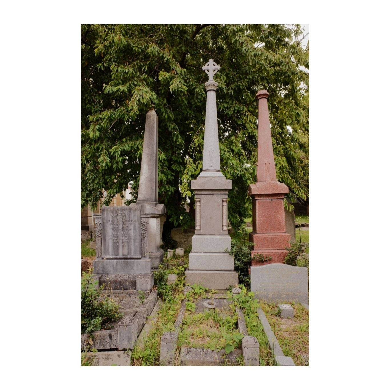 A row of Victorian or Edwardian obelisks headstones in a slightly untidy, overgrown churchyard.