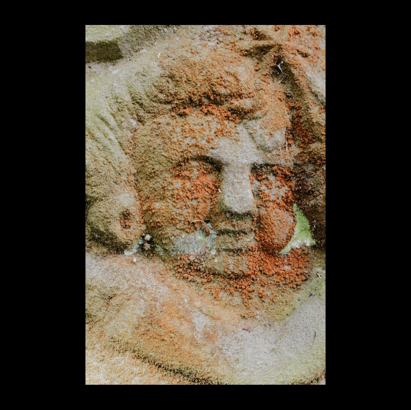 The crudely carved face of a cherub on an old headstone. There is red lichen growing over it.