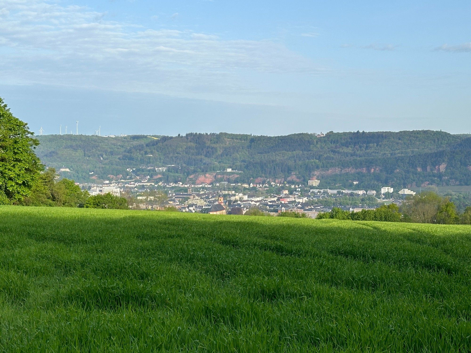 Trier vom Petrisberg aus gesehen. Foto: Bettina Leuchtenberg