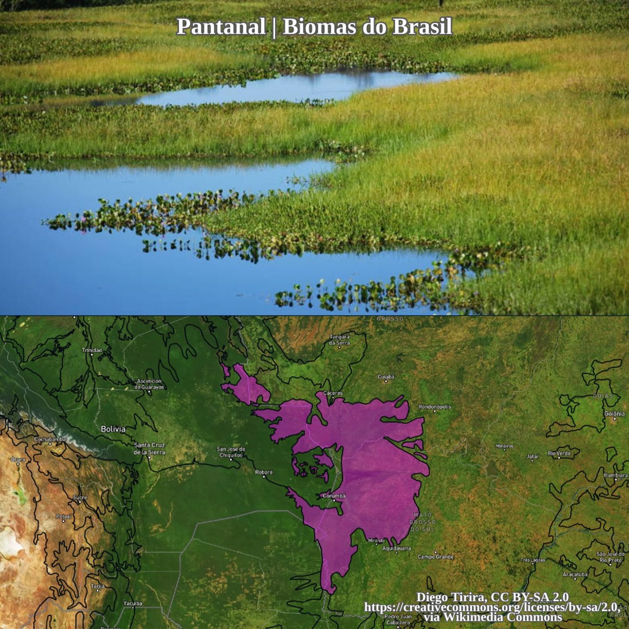 pantanal and range