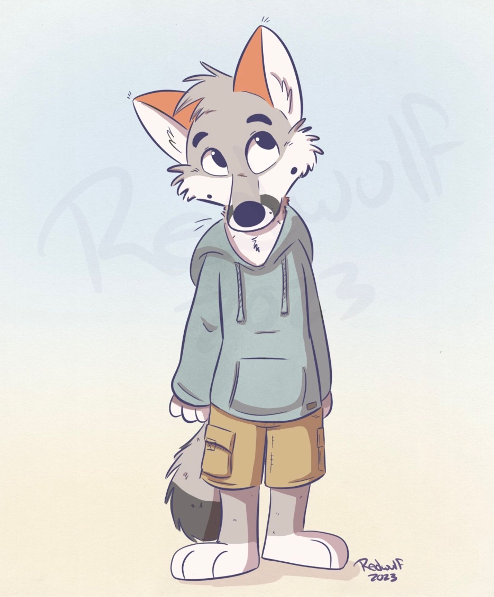 Anthropomorphic Island Fox boy dressed in a sea green colored hoodie and cargo shorts. He's looking upward off camera with a curious yet reserved expression