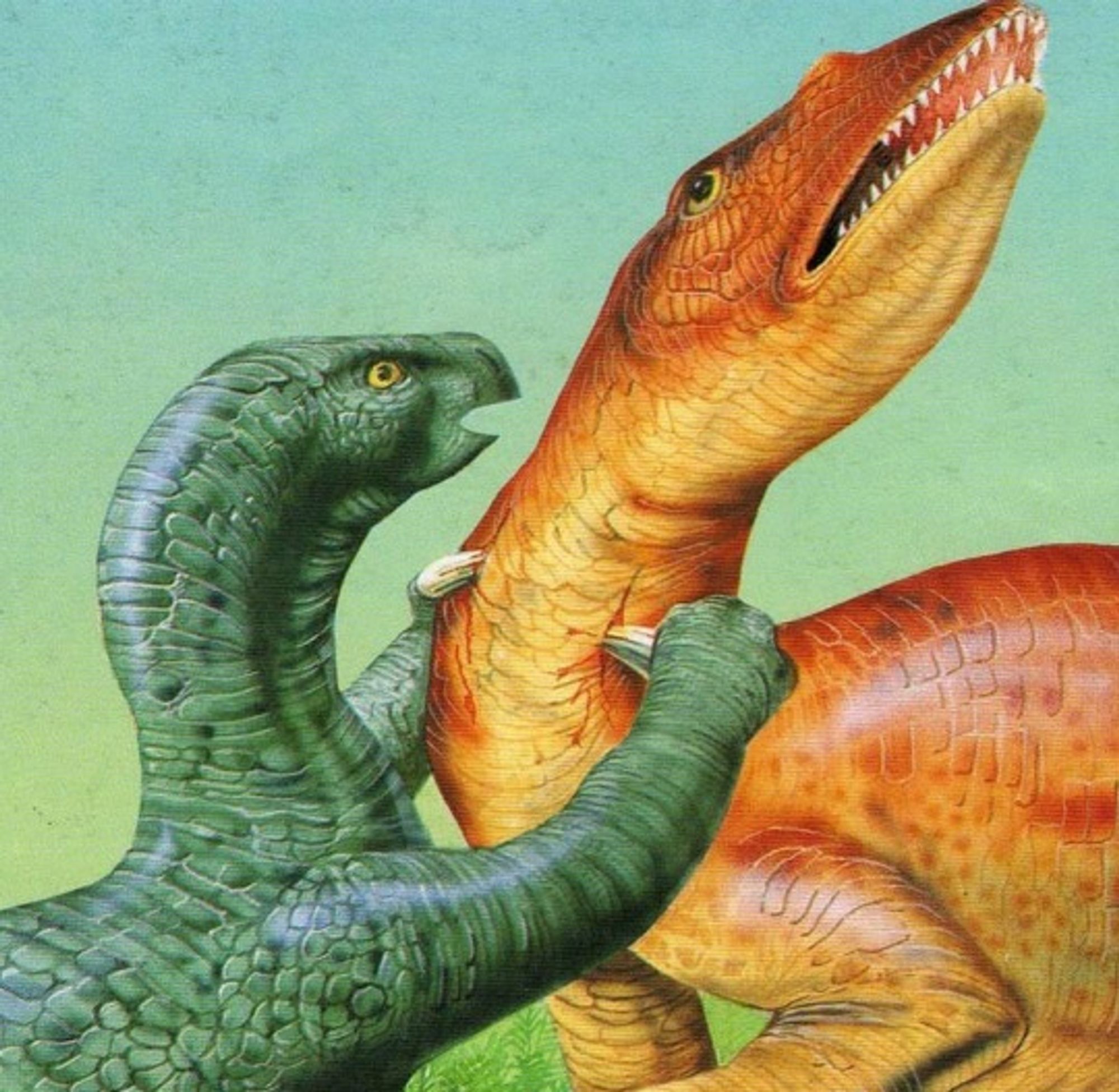 Artwork of an iguanodon dinosaur jabbing another unfortunate dinosaur in the throat with its thumb spikes.