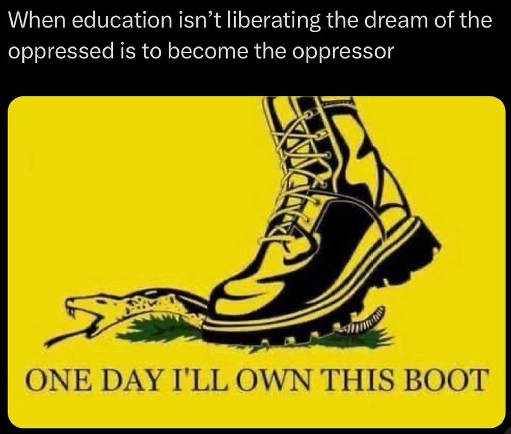 When education isn't liberating the dream of the oppressed is to become the oppressor. 

Image of snake being stepped on by a boot saying "one day I'll own this boot"