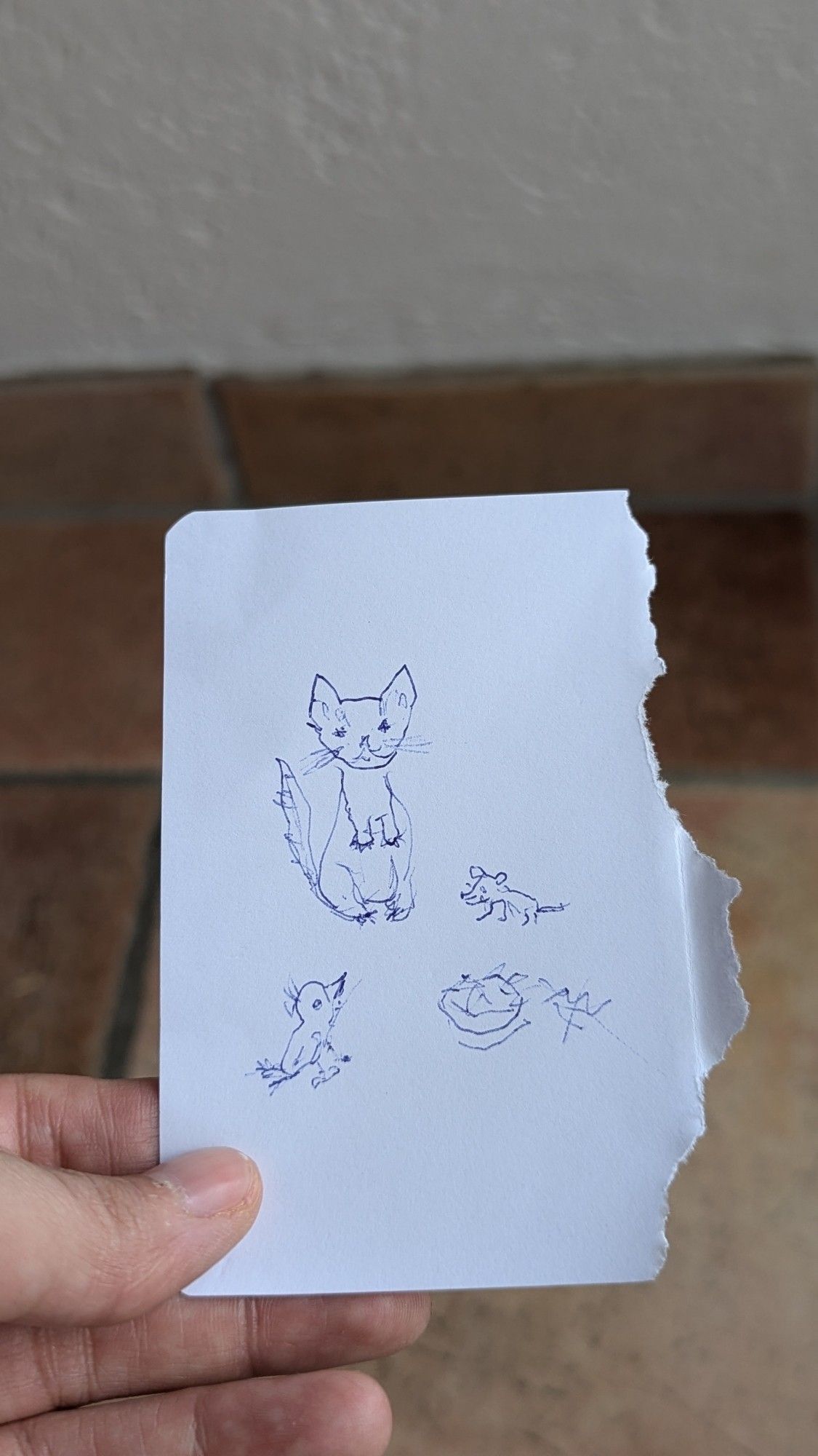 Das Bild zeigt eine kleine, handgezeichnete Skizze auf einem zerrissenen Stück Papier. Es gibt mehrere Zeichnungen:

1. In der Mitte oben ist eine Katze mit großen Ohren, einem langen Schwanz und etwas spitzen Schnurrhaaren zu sehen. Sie sitzt aufrecht.


2. Rechts nwben der Katze befindet sich eine kleinere Zeichnung eines Tieres, das wie eine Maus aussieht.


3. Unter der Katze sieht man ein weiteres kleines Tier, das an einem kleinen Vogel erinnert.

4. Ganz rechts unten ist eine grobe Skizze eines Futternapfes mit viel Essen darin, das auch etwas daneben gekleckert wurde.

Die Zeichnungen sind in blauer Tinte gemacht und wirken einfach, aber liebenswert. Im Hintergrund sind mach verschwommen rötlichen Fliesenboden.