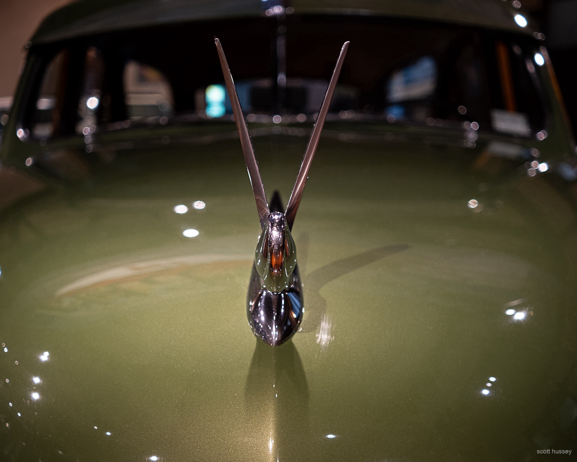 Close up of a swan hood ornament on a green mid-century Packard station wagon.