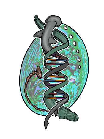 Nutritional Physiology Lab Logo: abalone shell with fish, DNA, and guts, showing what we work on.