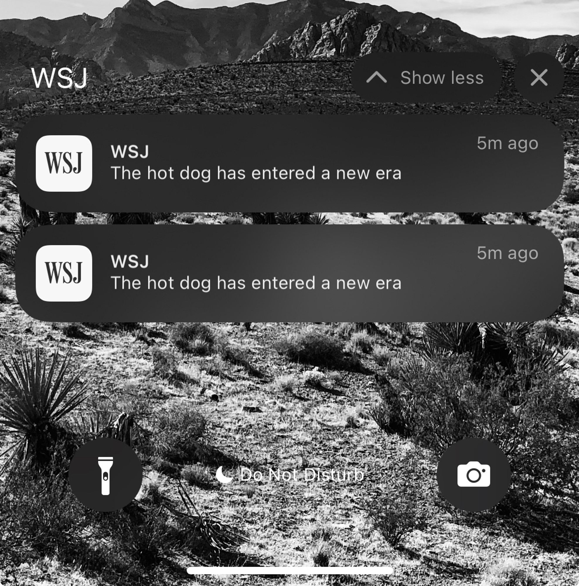 two WSJ push notifications reading "The hot dog has entered a new era"