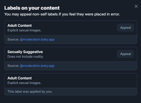 A screenshot of the labels placed upon a timelapse of NSFW content. The first is applied by me: Adult Content, the label made for explicit sexual images. The other two were applied by the auto-mod: adult content (again, for some reason) and sexually suggestive does not include nudity- which, it. Um. Definitely does.
