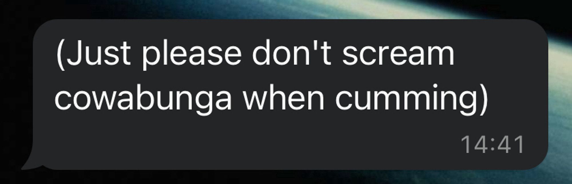 A text that says “(Just please don't scream cowabunga when cumming)”