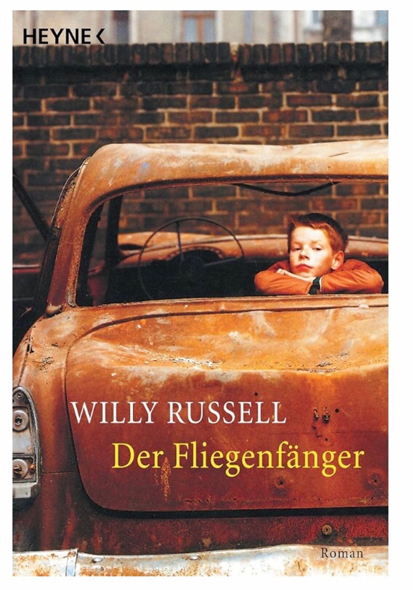 Buchcover „der Fliegenfänger“