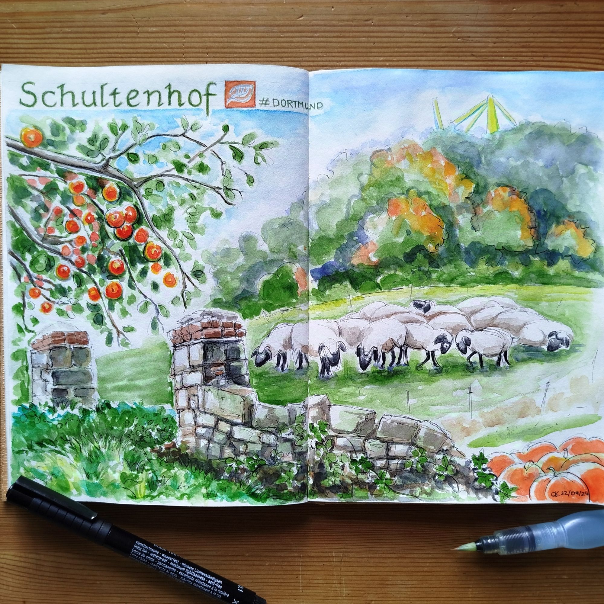 Aquarell im Skizzenbuch mit einer Bruchsteinmauer, Torpfosten, darüber hängt ein reich tragender Apfelbaum. Rechts Kürbisse, auf der Weide grasende Schafe, im Hintergrund Wald der Bolmke und gelbe Pfeiler des Stadions.