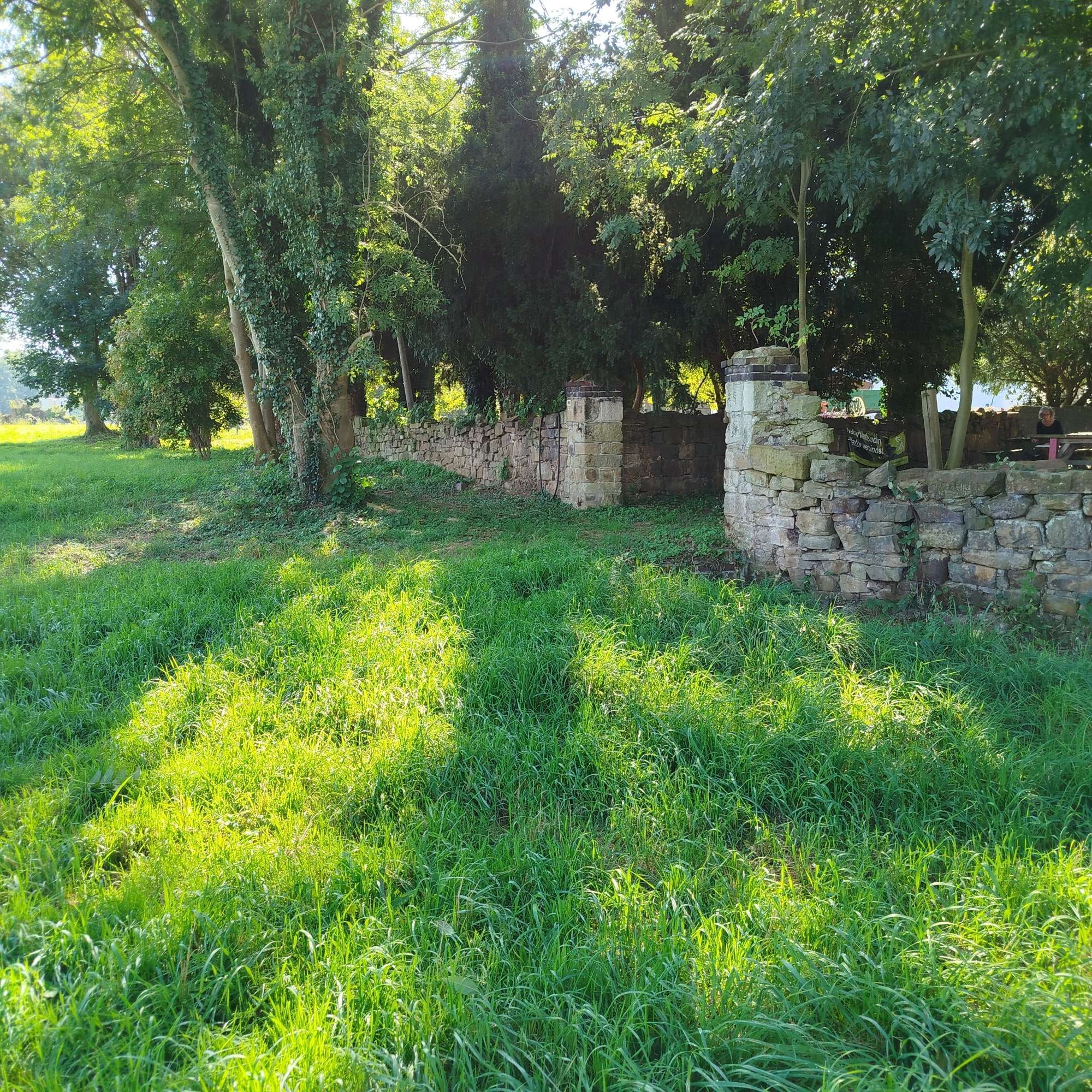 Foto der Bruchsteinmauer, davor saftig grünes Gras, dahinter Bäume.