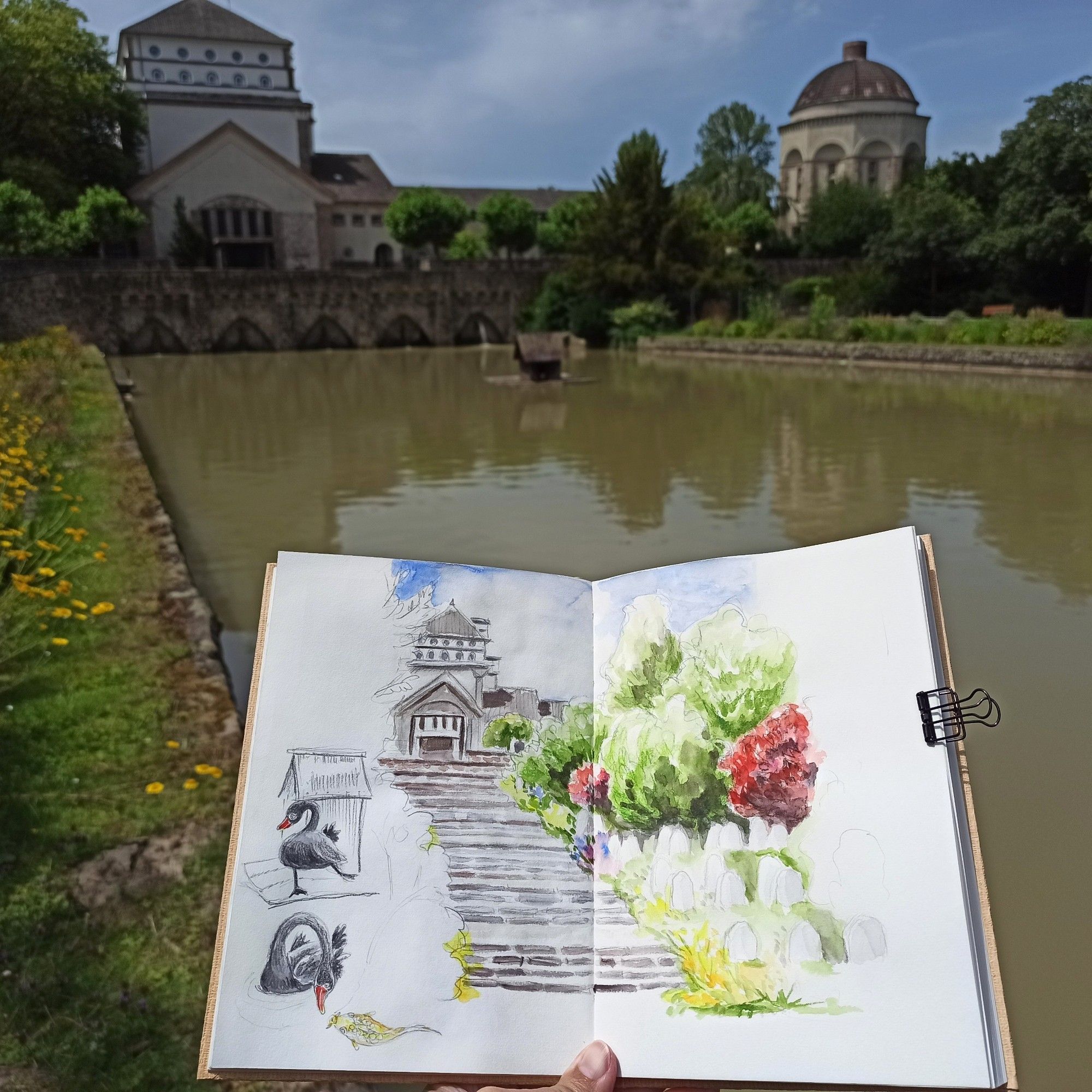 Sketchbook in front of the pond.