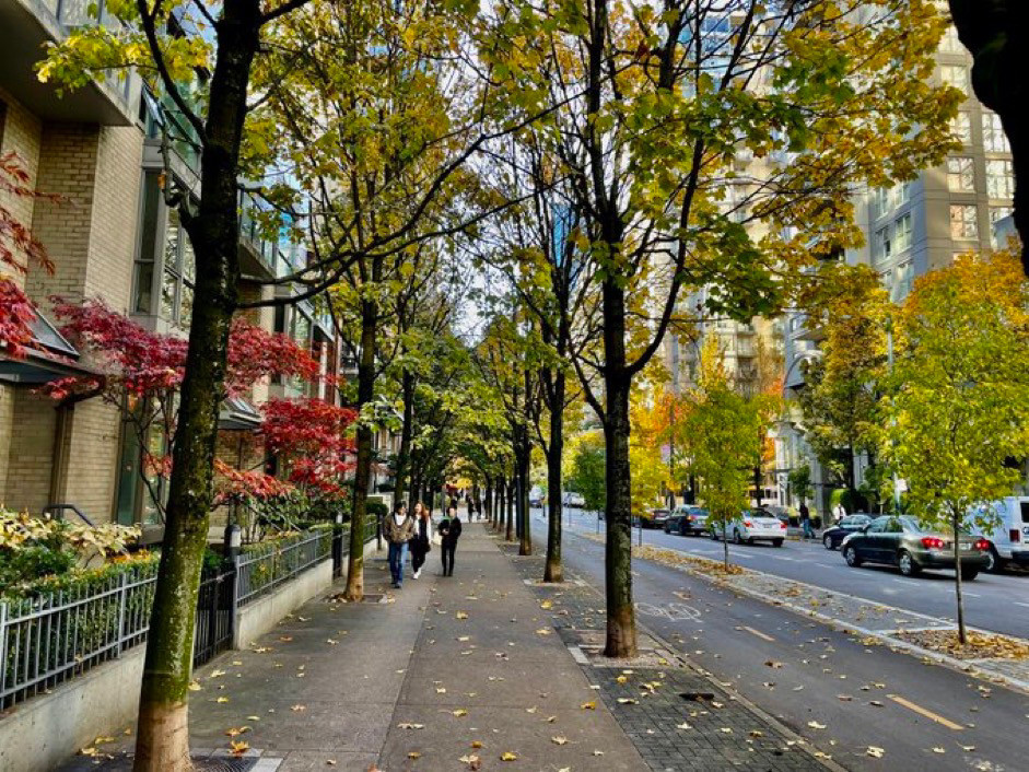 Fall in the city w separate protected bike lanes on the right, they are just out of frame biking having the time of their lives