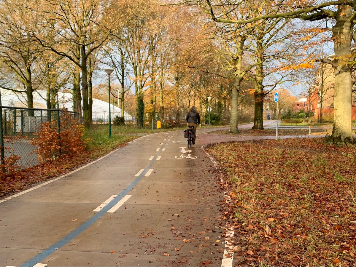 Person on a bike in Fall with leaves turning and falling on a bikeway