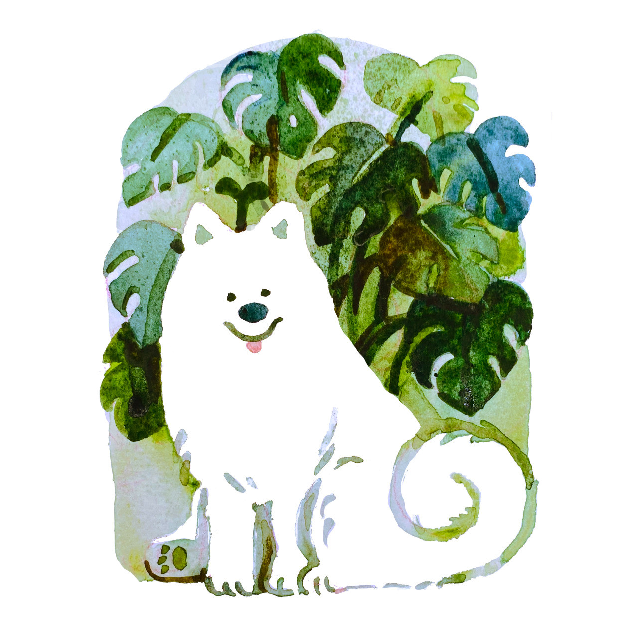 A watercolor painting of a happy white samoyed (Sprout) in front of a giant monstera plant. 