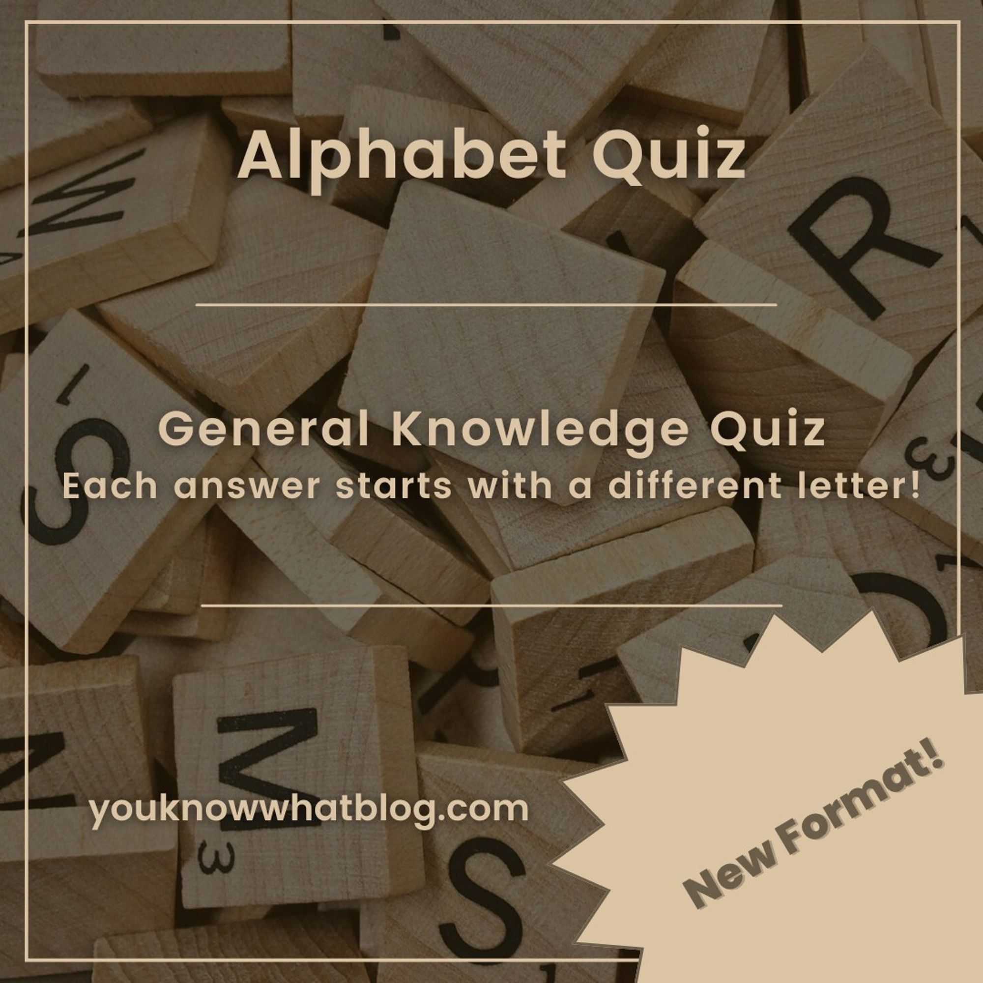 Alphabet Quiz - Part 1 by you know what blog teaser image