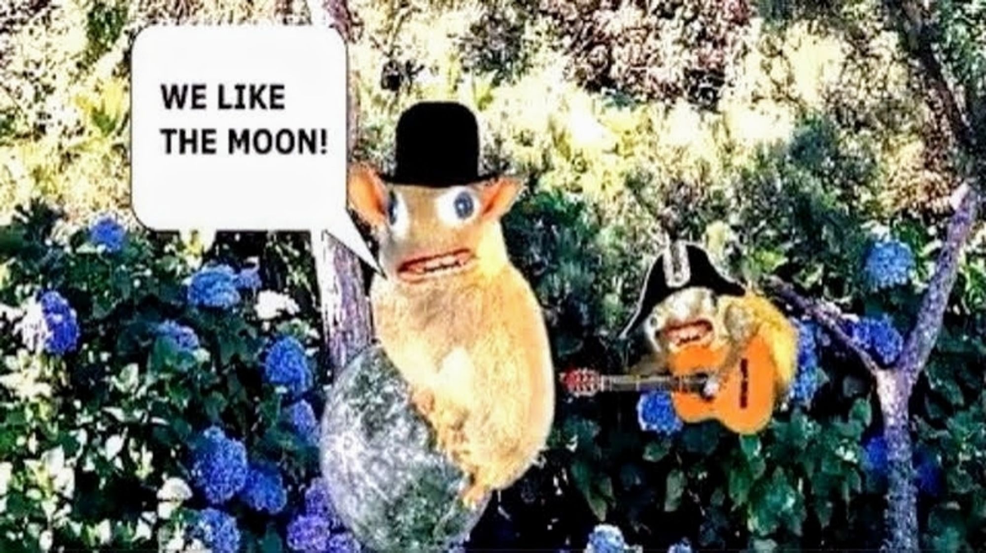 The weird little marmot-guys from the Quiznos ad, singing the original Moon Song, circa 2002-ish.