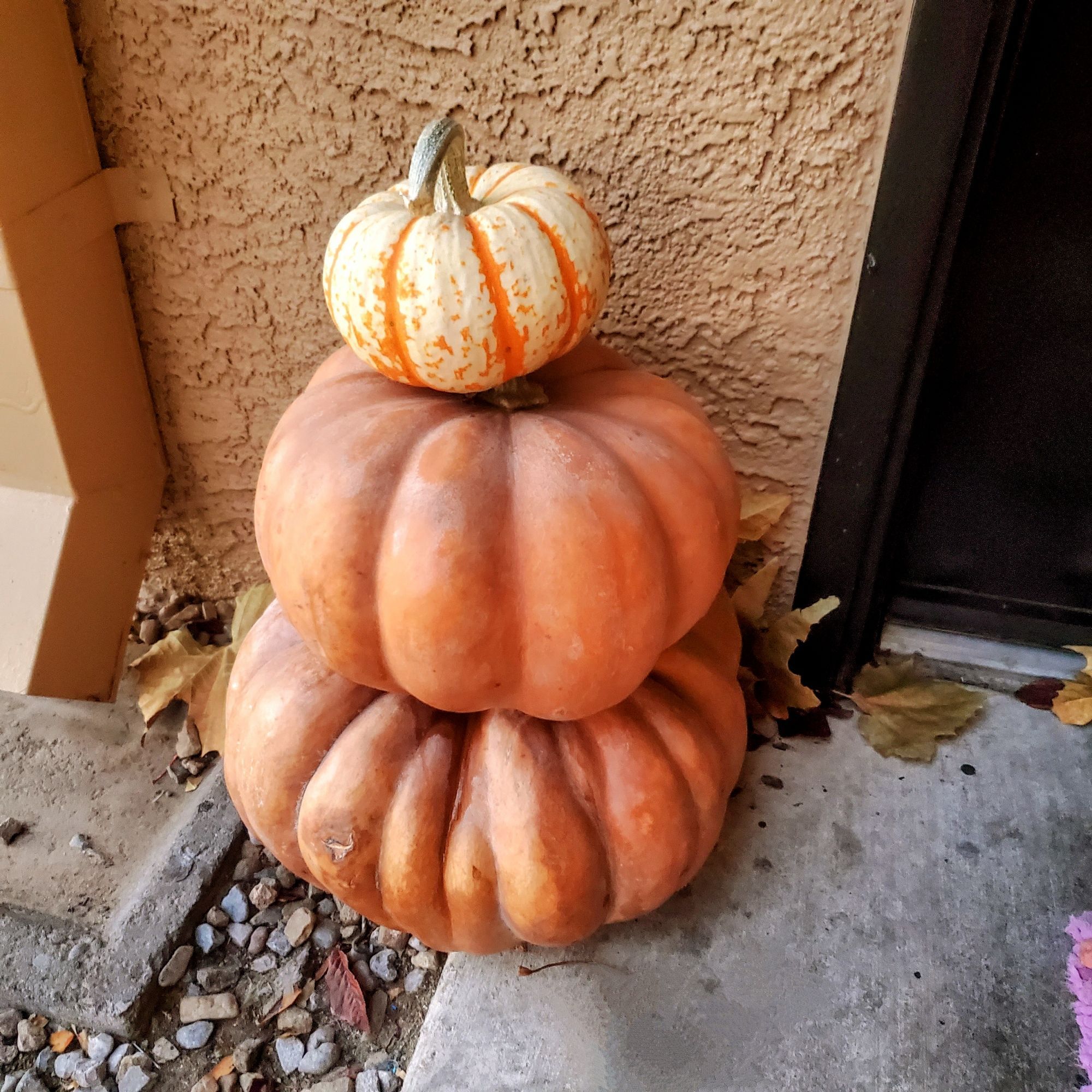 Three pumpkins stacked on top of each other from biggest to smallest. The bottom two are orange, but the little guy on top is orange-and-white striped. The whole stack sits in front of a stucco wall next to a door.