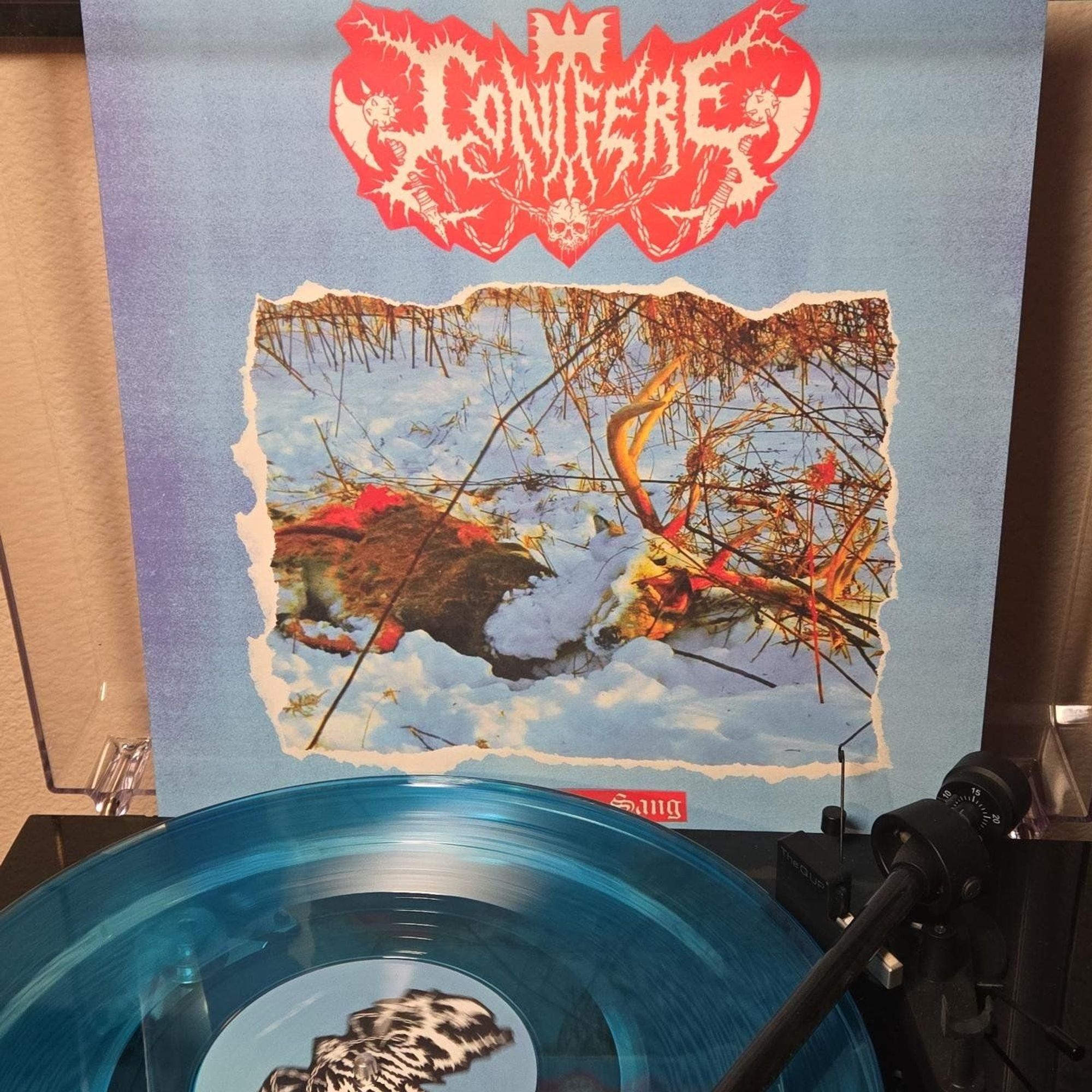 #nowspinning Conifère – L'Imp​ô​t Du Sang on clear blue vinyl.