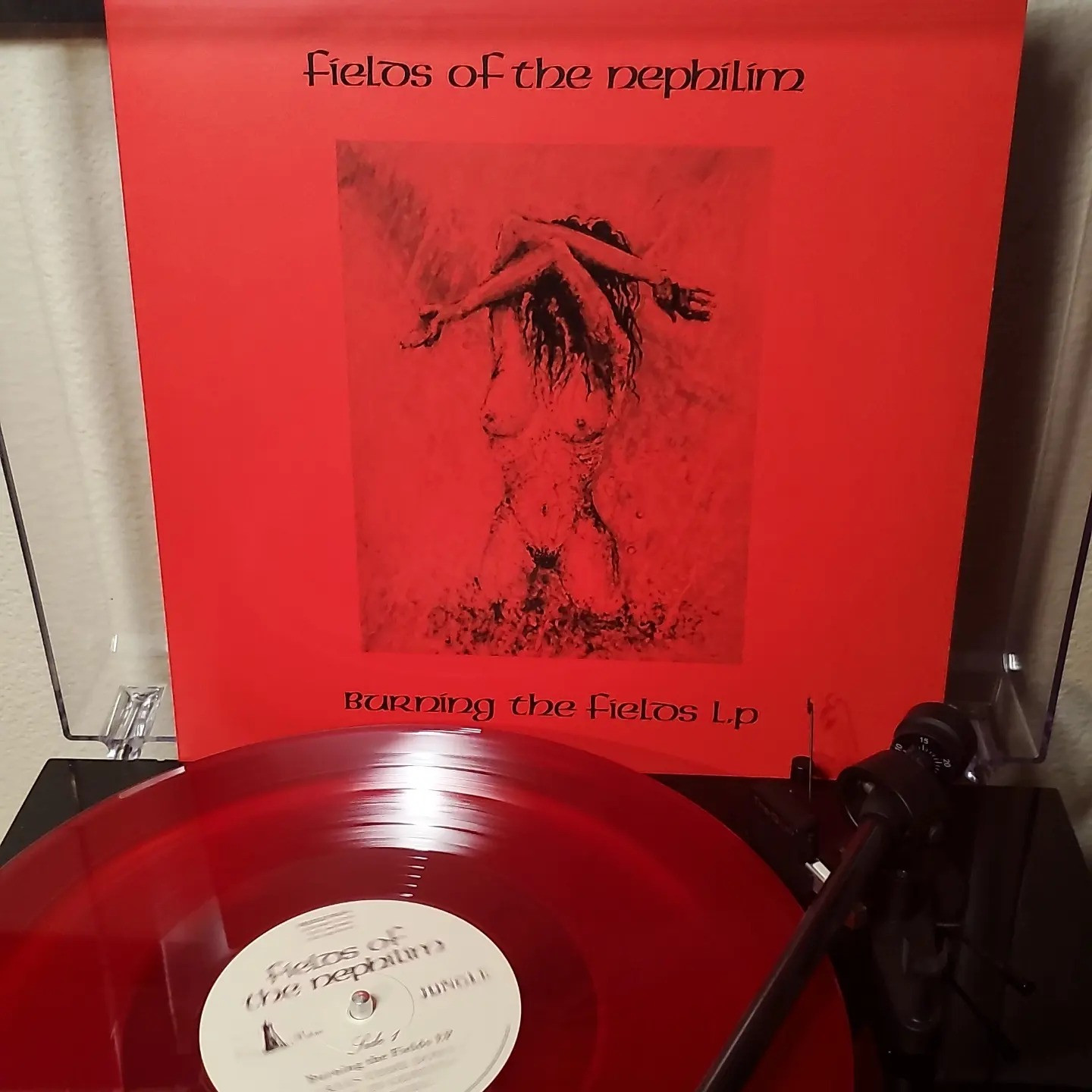 #nowspinning Fields of the Nephilim - Burning the Fields LP on clear red vinyl.