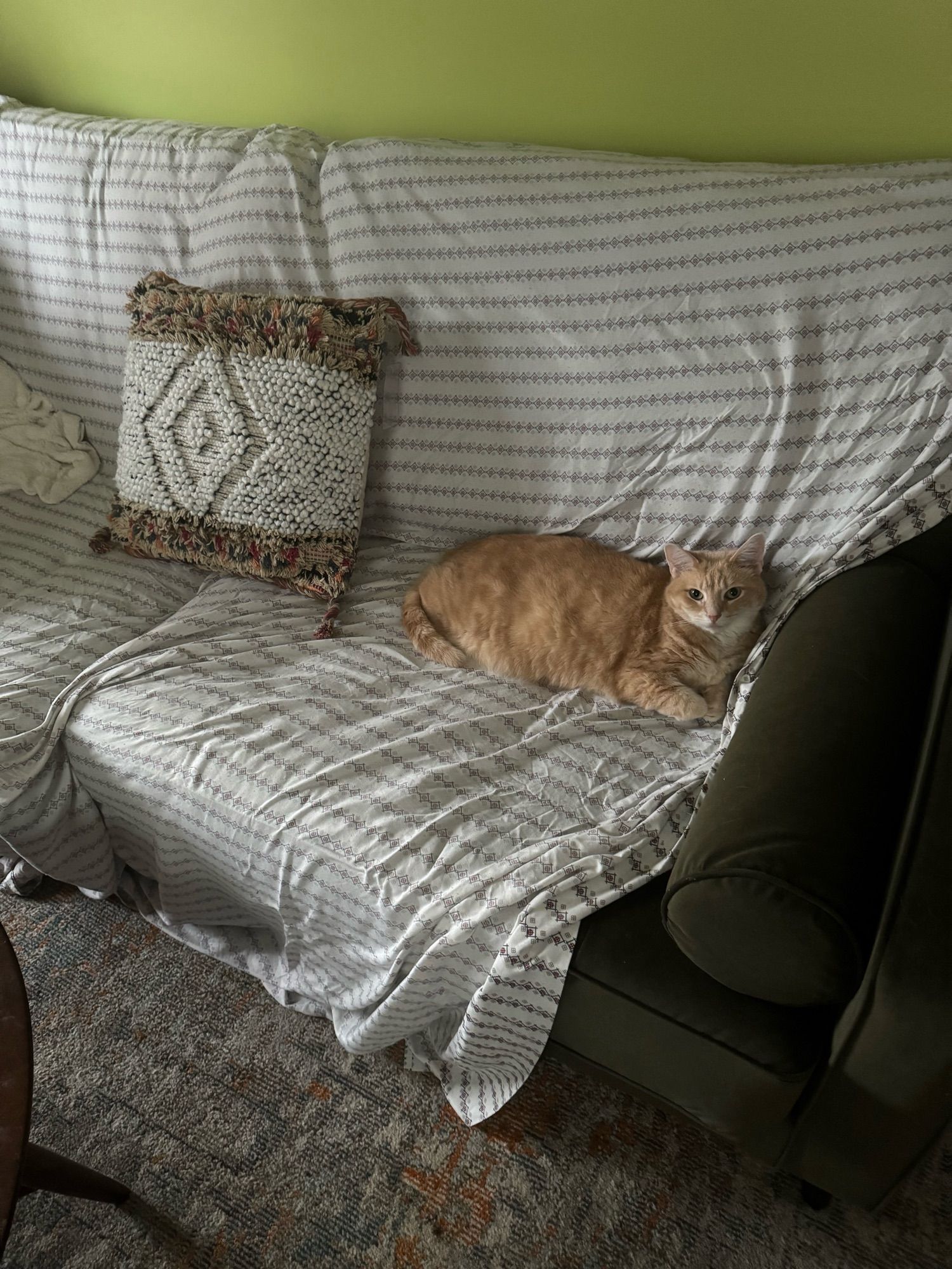 Orange cat in repose on a green couch covered by a striped sheet and adorned by decorative pillow