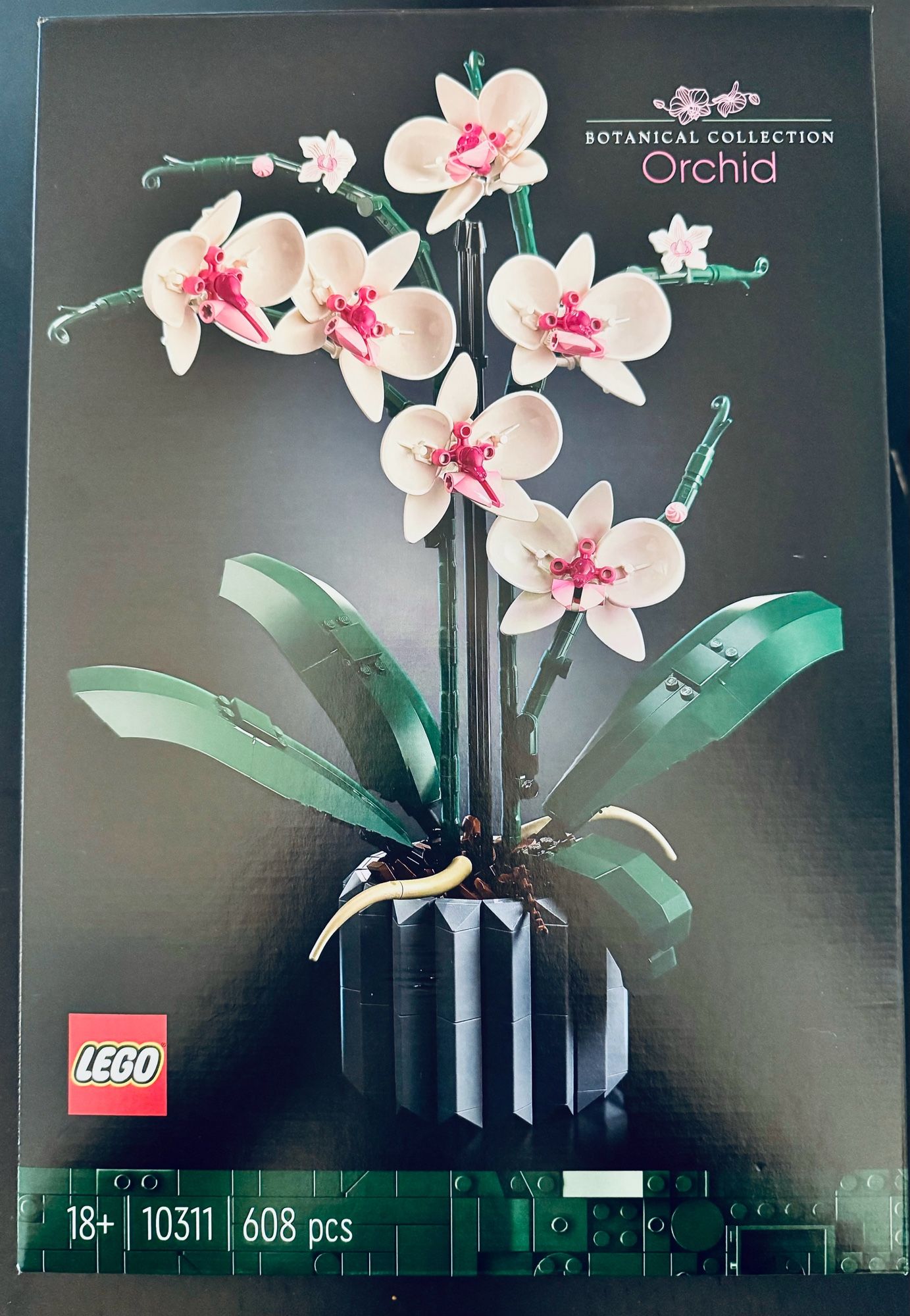 Ein Lego-Karton mit einer Orchidee.