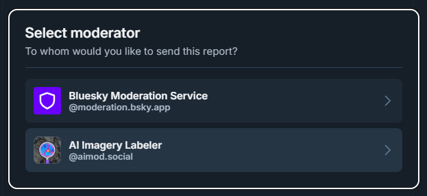 Screenshot of Bluesky's reporting system.