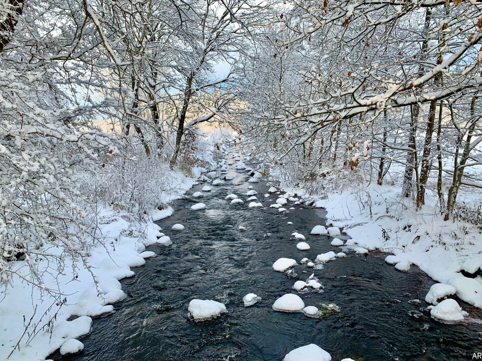 Dunkler, schnell fließender Bach im Schnee. Im Bachbett verschneite, größere Steine, am Ufer verschneite Bäume.