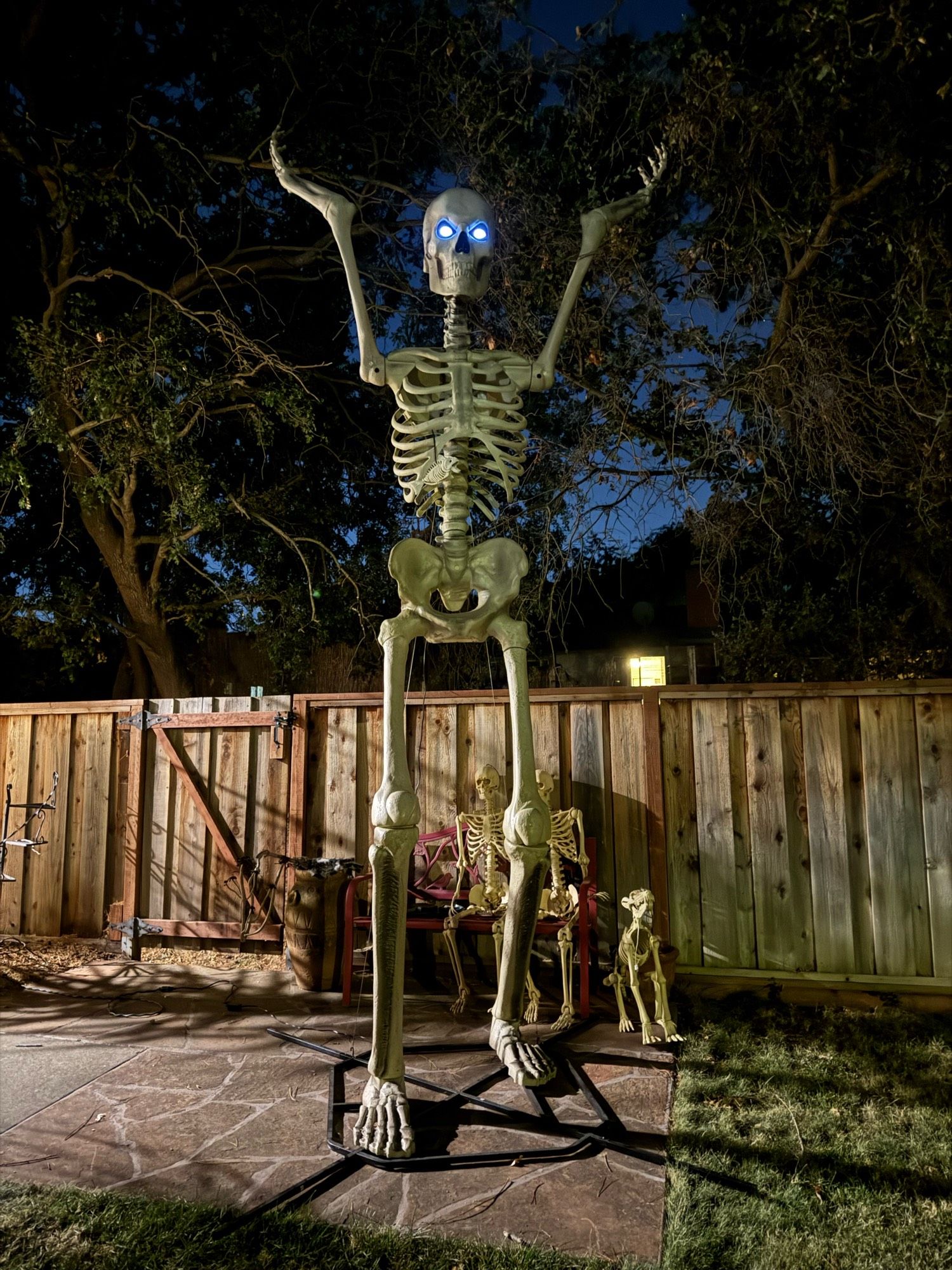 Big skelly