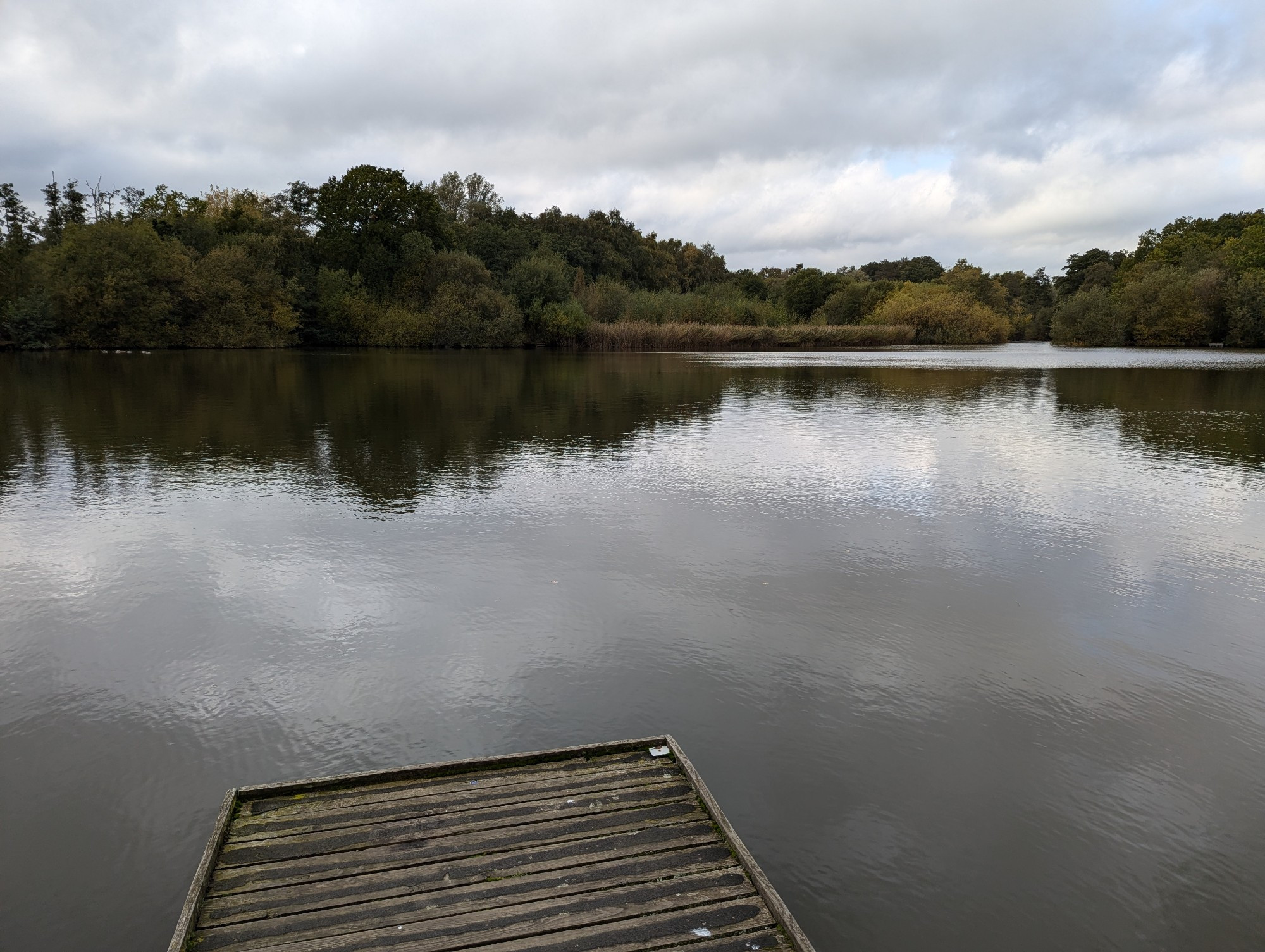 A large pond/small lake