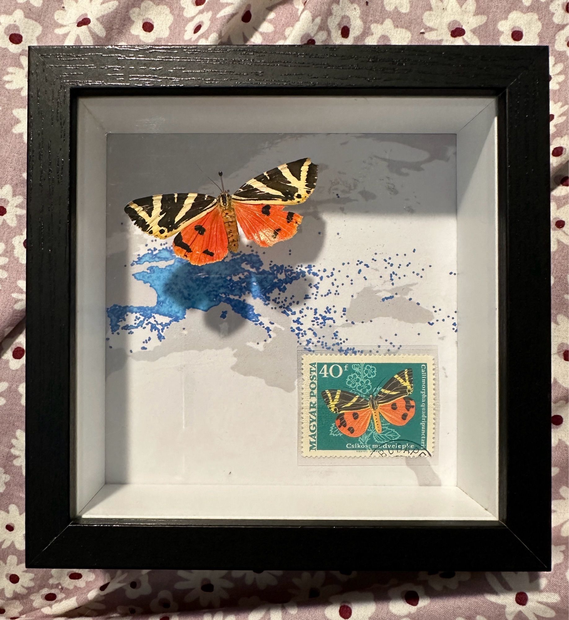 Shadow box with a stamp and matching moth specimen pinned and mounted on a map of observations of the species. (Mostly Europe)