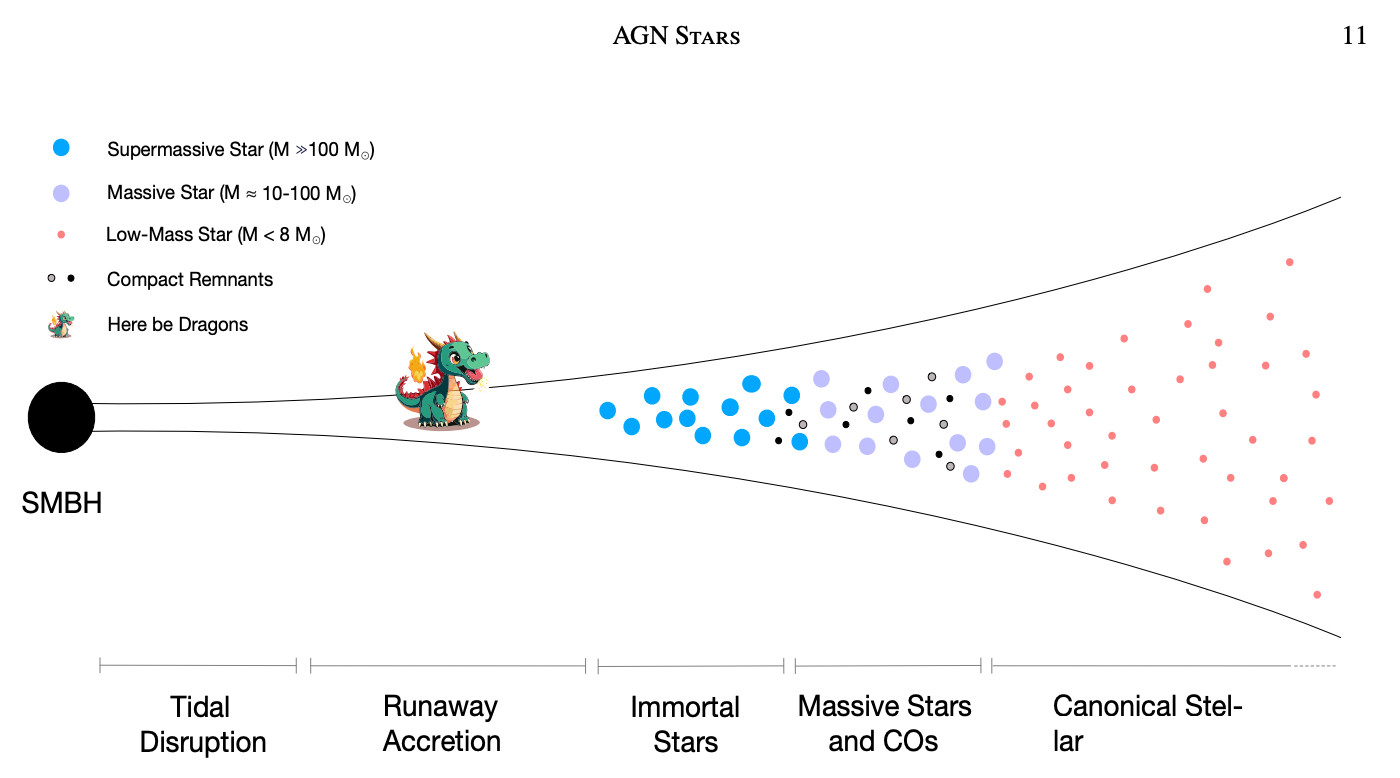 Diagram of an AGN disk (text reading 'AGN Stars' at the top) showing the behavior stars as a function of distance from the SMBH, with the outermost region showing pink dots representing low mass stars (<8Msun), labeled 'canonical stellar evolution', the next region in containing purple and black dots representing massive stars (~10-100Msun) and compact remnants, labeled 'massive stars & COs', the next region in containing blue dots representing supermassive stars (>100Msun), labeled 'immortal stars', the next region containing a cartoon dragon labeled 'Runaway accretion' and in the legend the dragon symbol is labeled 'Here be Dragons'; the innermost region contains nothing and is labeled 'Tidal disruption'