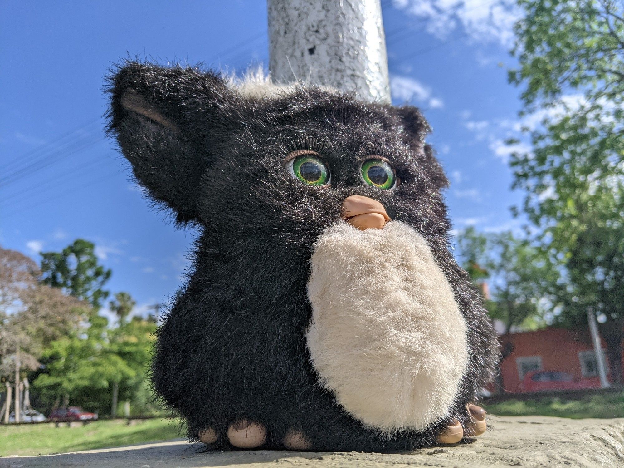 A black and white Furby on a sunny day, it is looking up toward the sky.