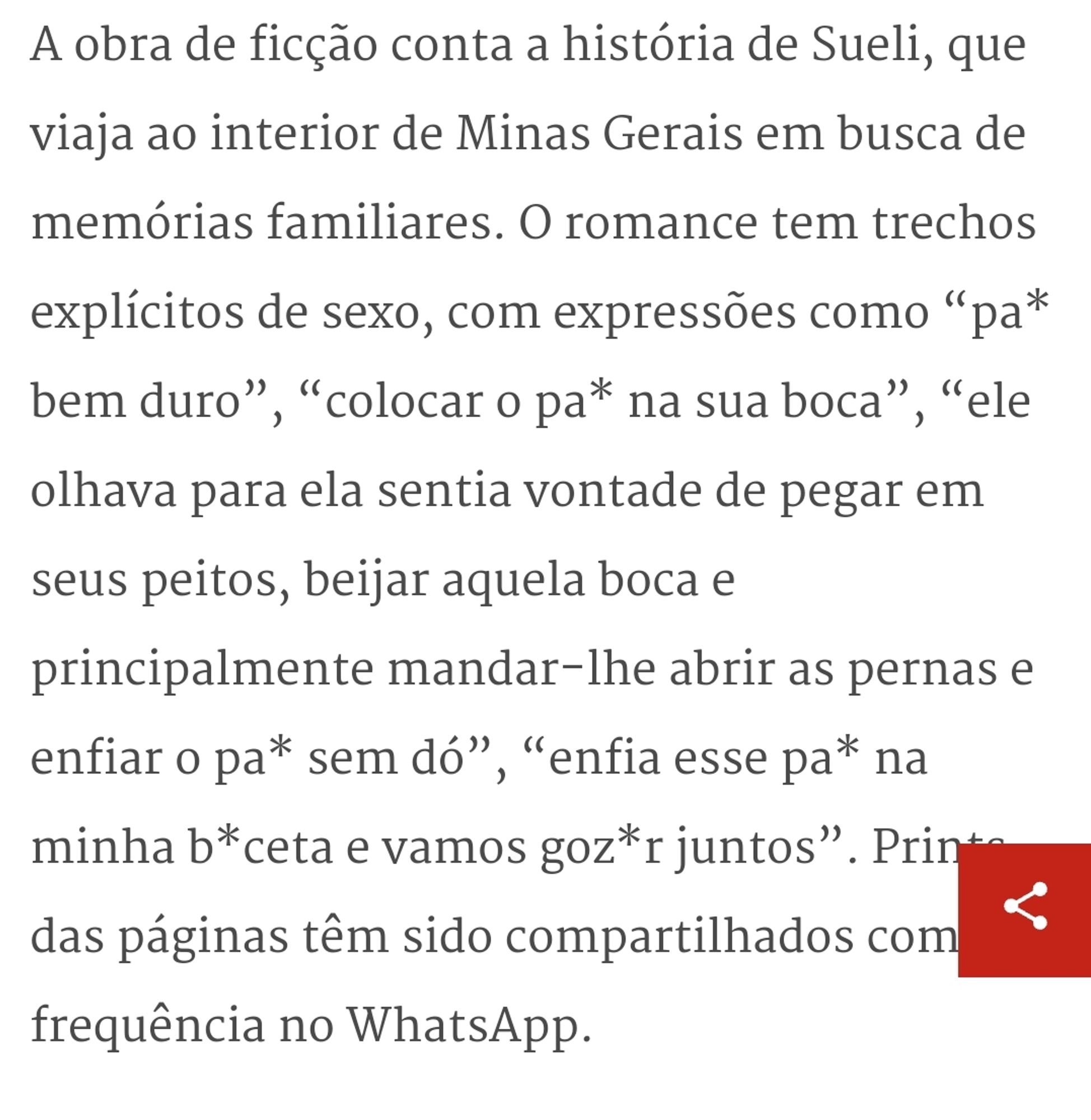 A obra de ficção conta a história de Sueli, que viaja ao interior de Minas Gerais em busca de memórias familiares. O romance tem trechos explícitos de sexo, com expressões como “pa* bem duro”, “colocar o pa* na sua boca”, “ele olhava para ela sentia vontade de pegar em seus peitos, beijar aquela boca e principalmente mandar-lhe abrir as pernas e enfiar o pa* sem dó”, “enfia esse pa* na minha b*ceta e vamos goz*r juntos”. Prints das páginas têm sido compartilhados com frequência no WhatsApp