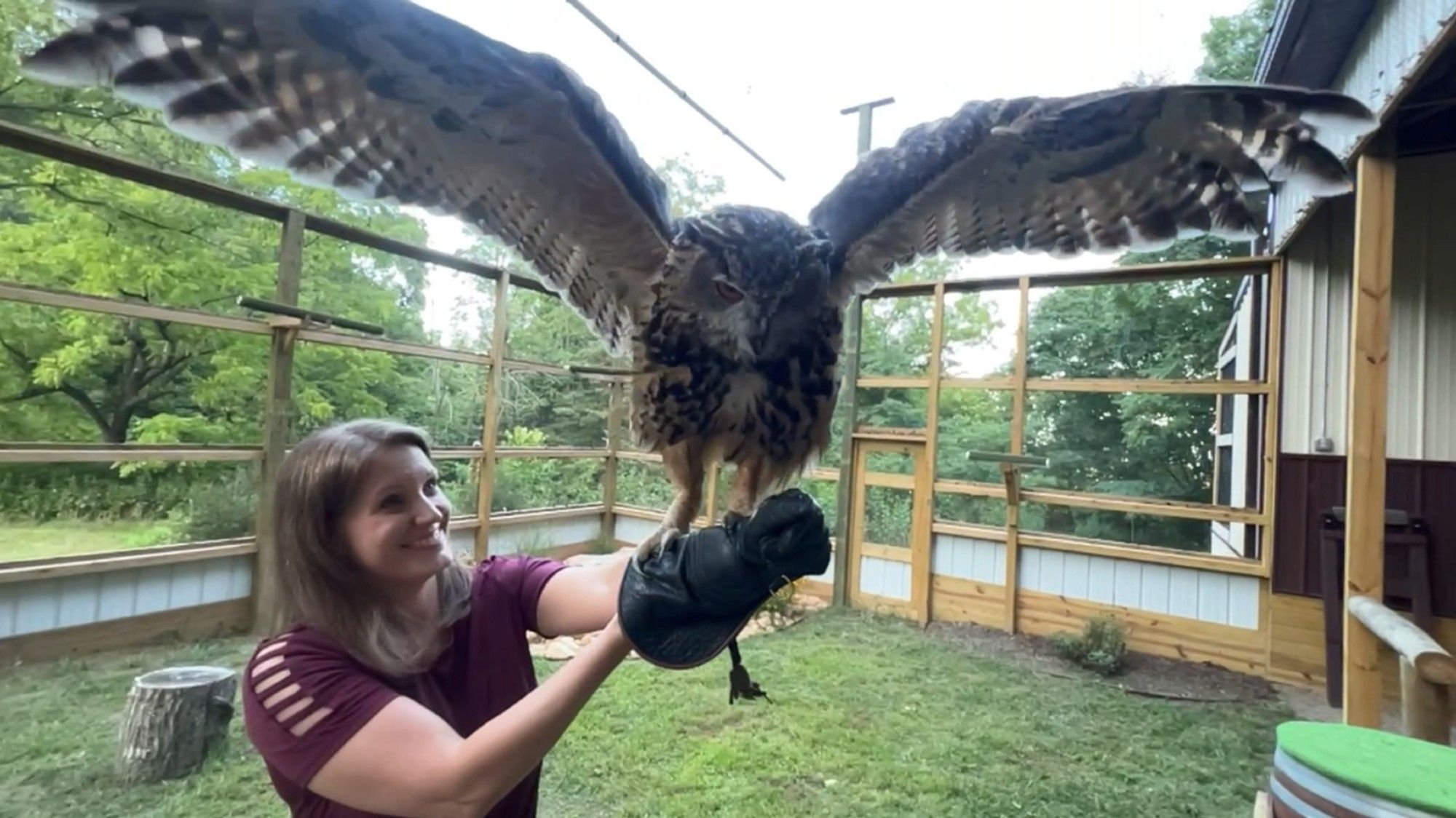 Author June Smalls holding an enormous owl with wings spread wide as it lands on her glove.