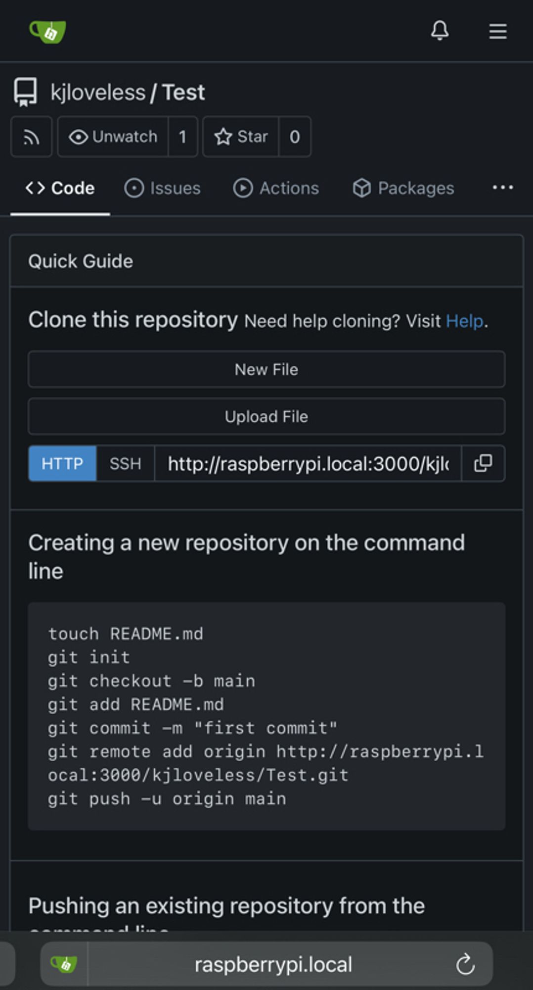 gitea showing a test repo hosted on raspberry pi w/ tailscale