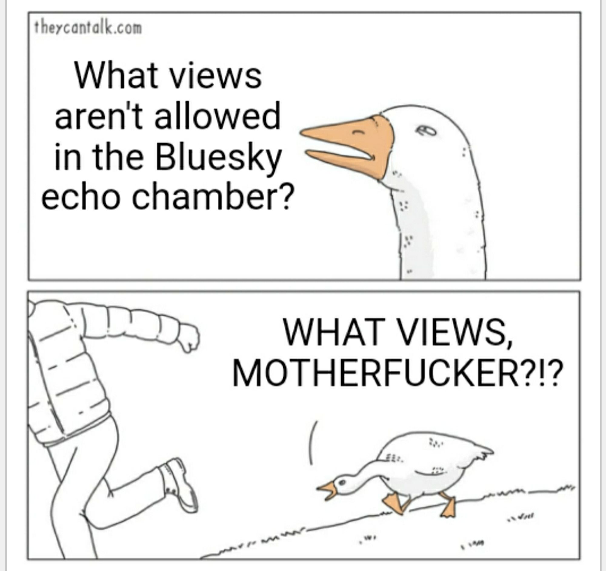 Goose comic strip. Goose says "What views aren't allowed in the Bluesky echo chamber?" Chases a man away shouting "What views, motherfucker?"