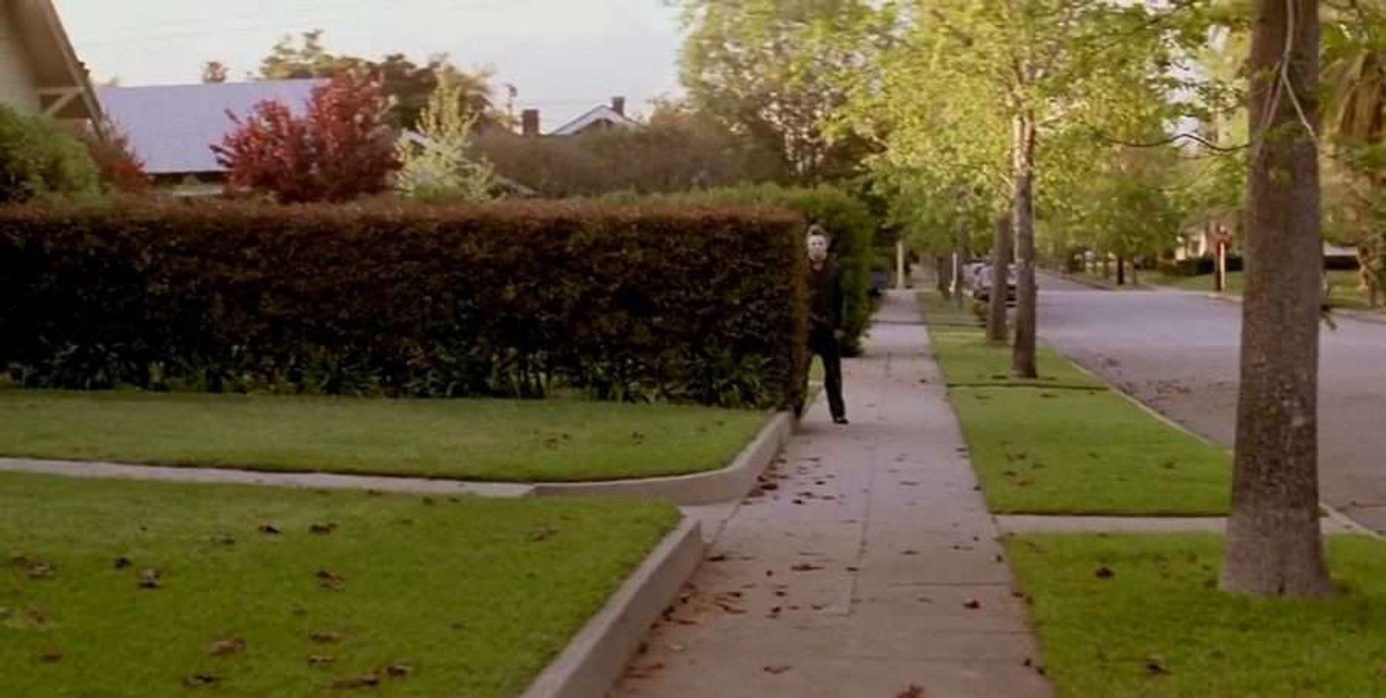 a still image from the film Halloween showing a row of hedges and Michael Myers is standing behind the edge of them.