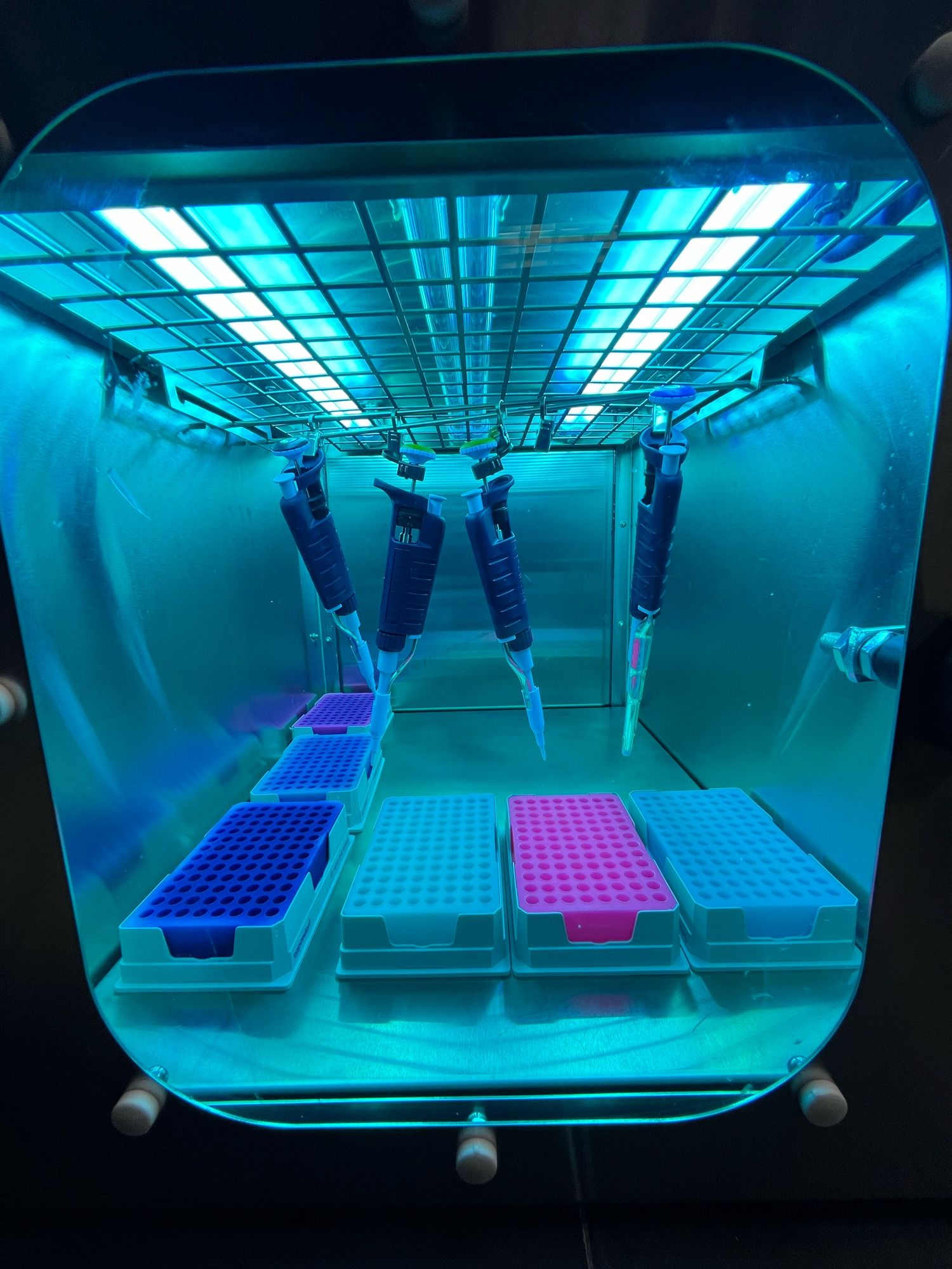 Pipettes being zapped under harsh UV lights