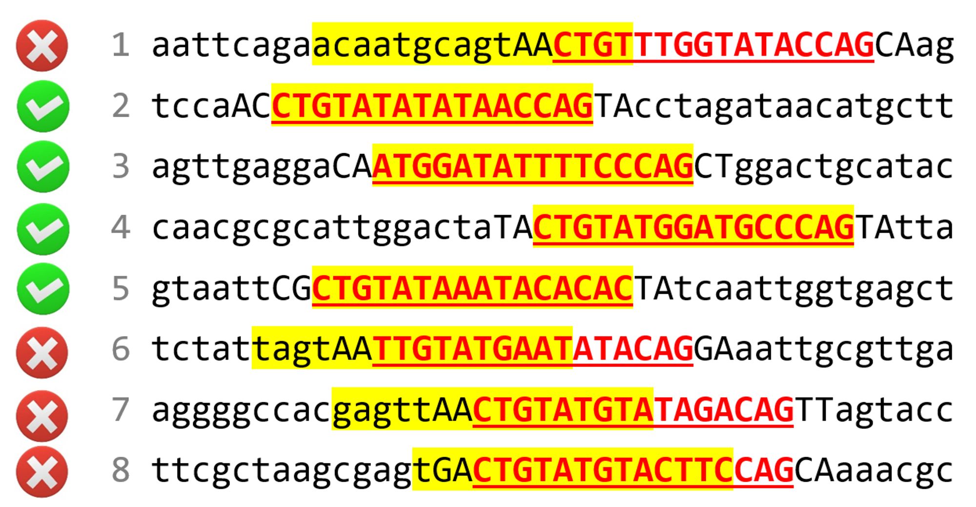 AF3 places the LexA dimer on top of the random LexA sites in 4 out of 8 cases. The 8 sequences are shown and the positions where binding is observed are marked.