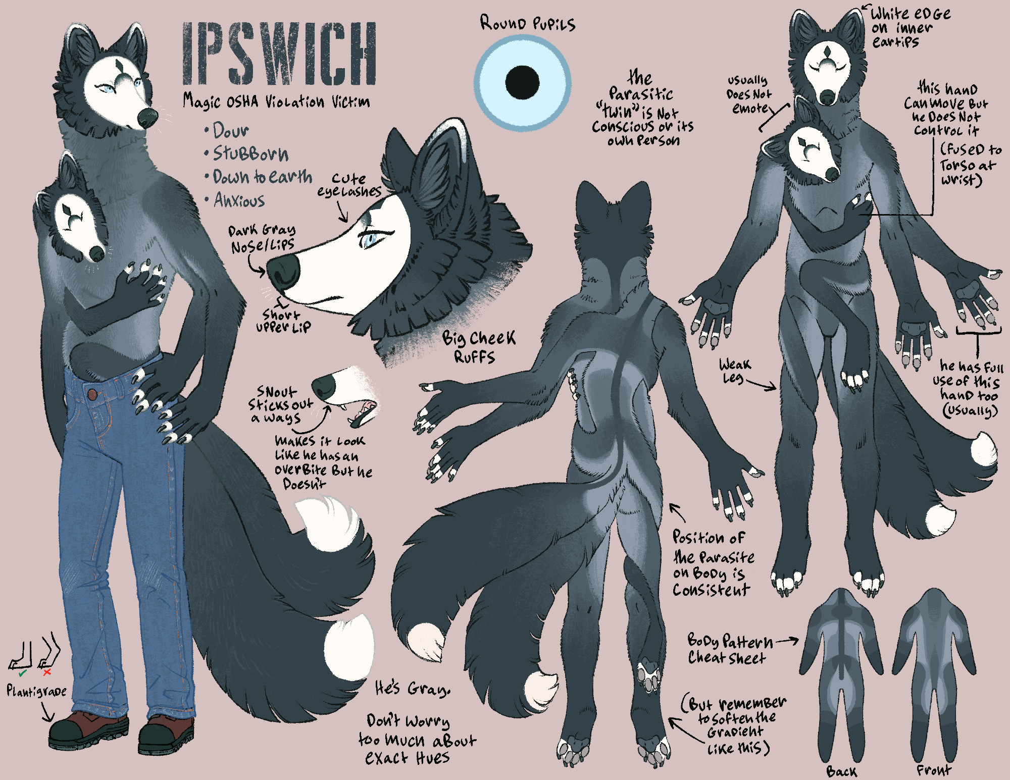 A character reference for artists describing a furry fox character named Ipswich who is dark gray with a stark white face. A parasitic twin like a copy of him is wrapped around his body like it's hugging him with its face on his shoulder