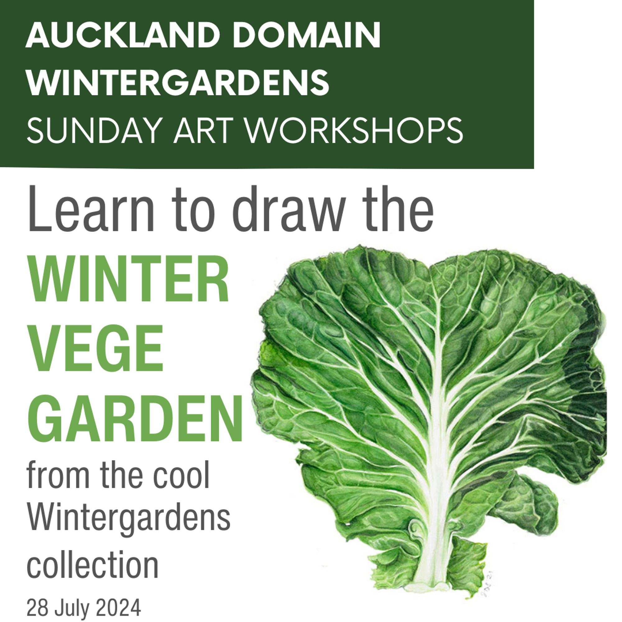 botanical art workshops are open for booking at the Wintergardens in Auckland