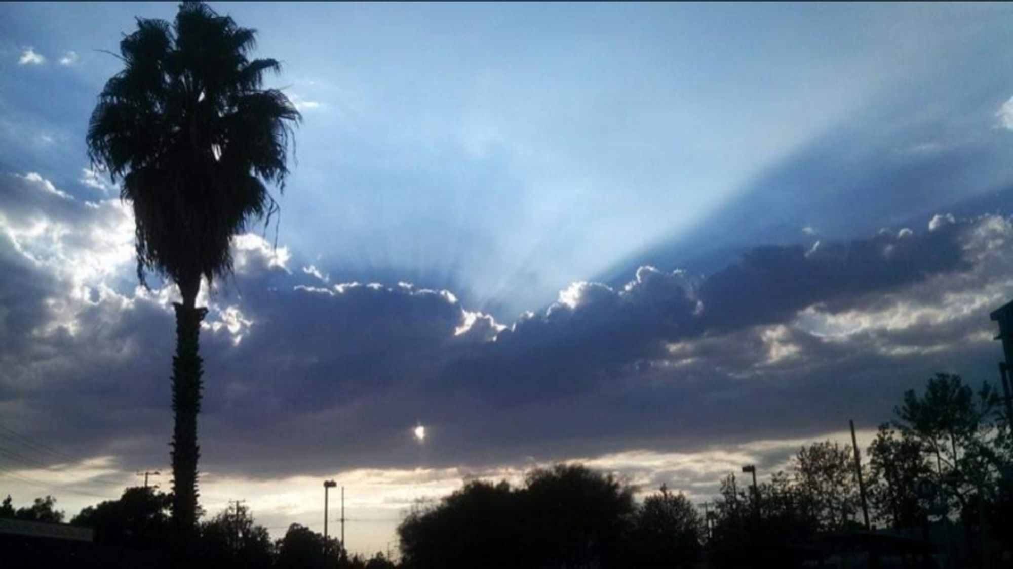 The sun behind dark clouds near sunset. A palm tree on the left side.