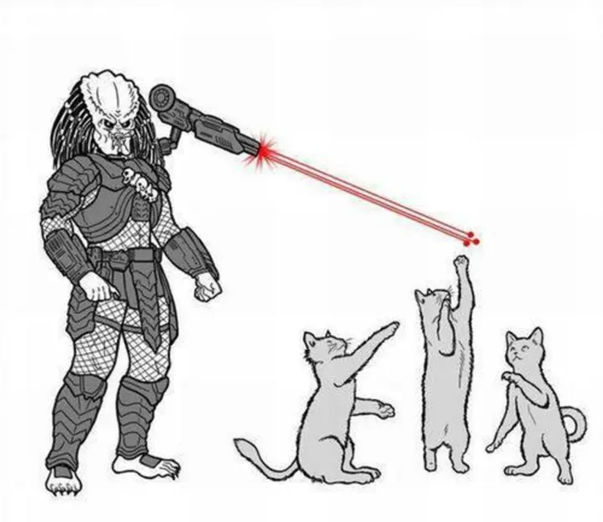 Predator using laser to entertain cats